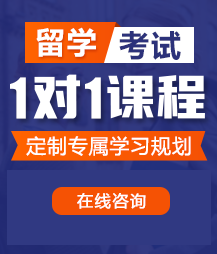 大鸡巴日骚逼留学考试一对一精品课